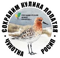 Изучение и сохранение лопатня в окрестностях с. Мейныпильгыно (Чукотка) в 2026 г.