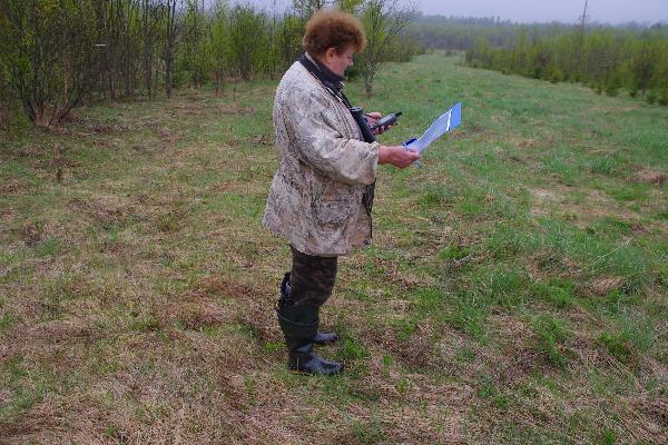 Тенденции численности черношейной поганки, красноголового нырка, лугового луня, большого кроншнепа и большого веретенника – данные учетов 2026 года