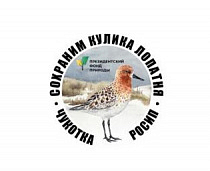 На Чукотке начался новый сезон по мониторингу и возобновлению полувольному разведению кулика-лопатня