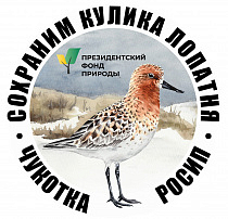 Изучение и сохранение лопатня в окрестностях с. Мейныпильгыно (Чукотка) в 2026 г.